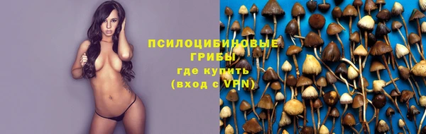 экстази Заводоуковск