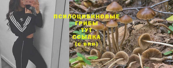твердый Богородицк