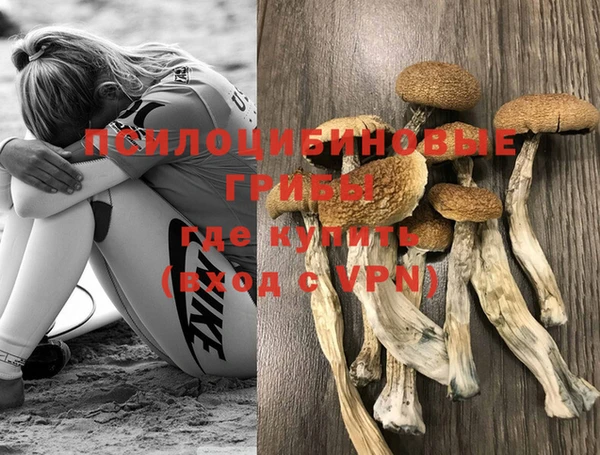 твердый Богородицк